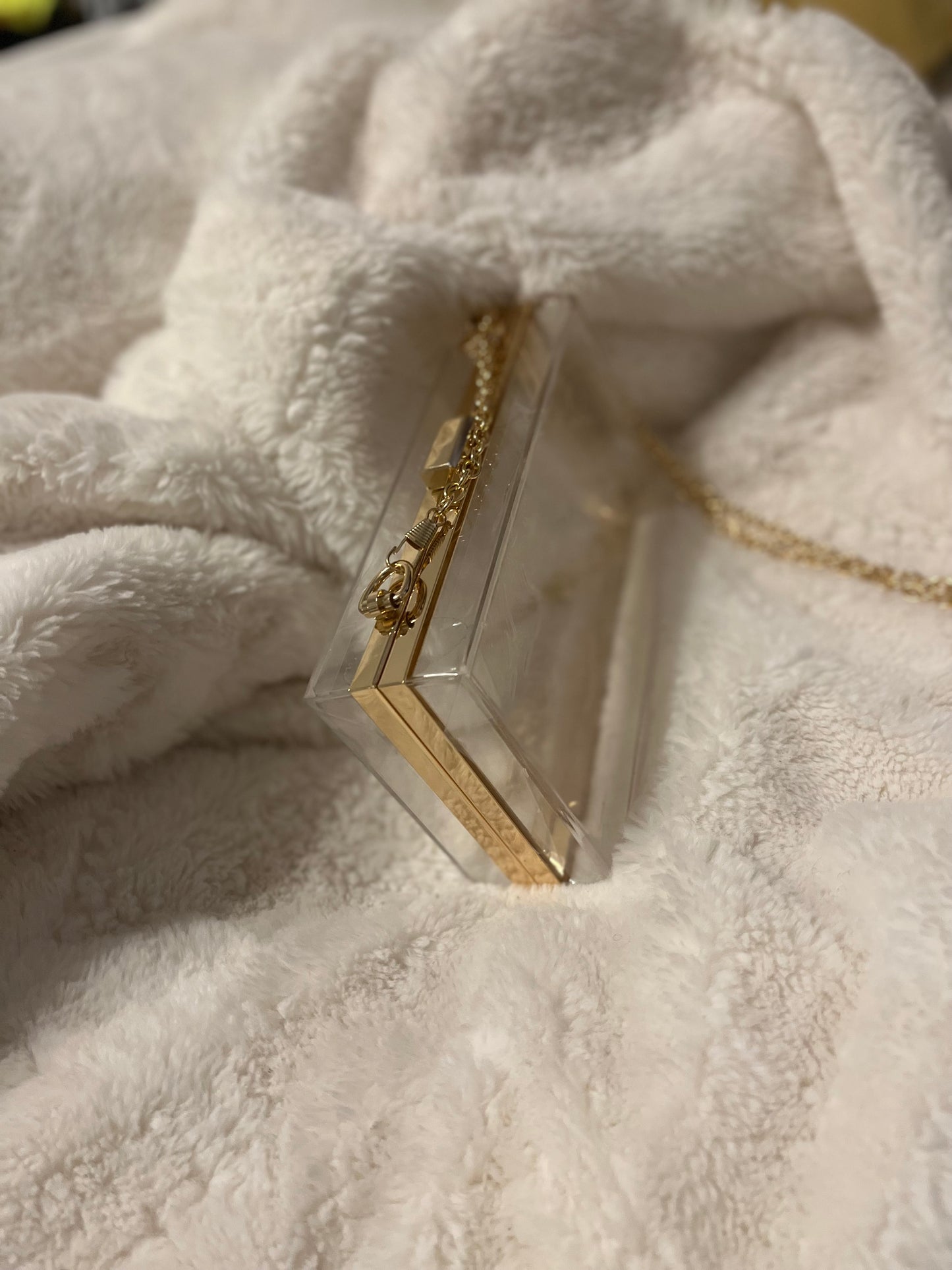 Transparent Cute Purse